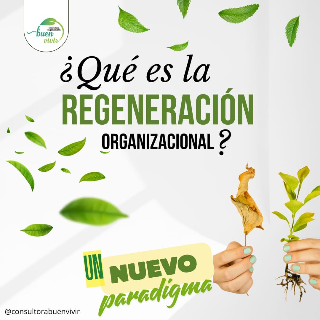 Post 1 about organizational regeneration