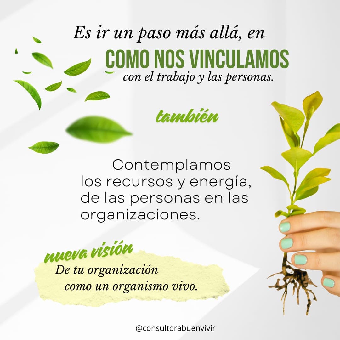 Post 2 about organizational regeneration