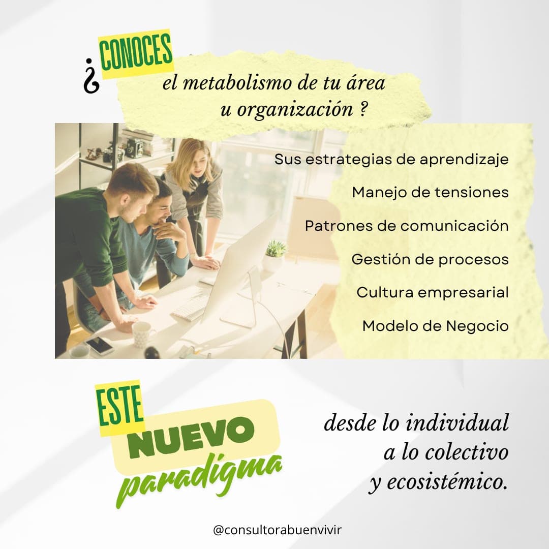 Post 5 about organizational regeneration