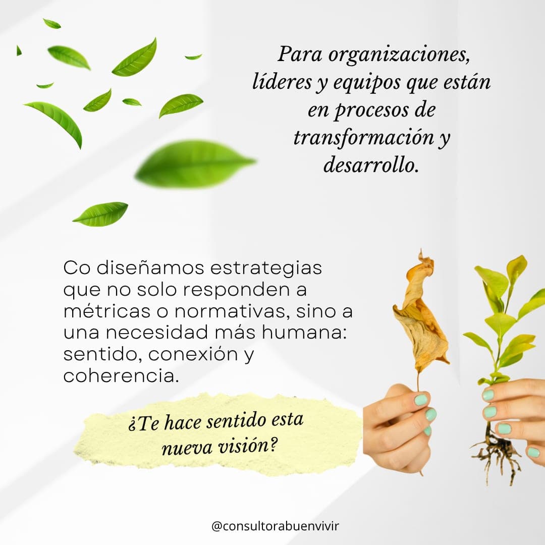 Post 6 about organizational regeneration